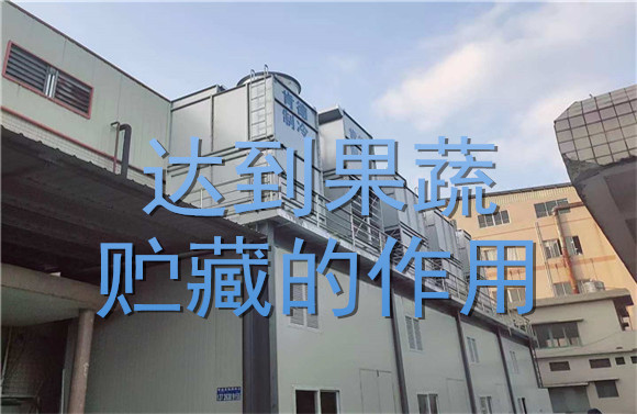 達(dá)到果蔬貯藏的作用.jpg