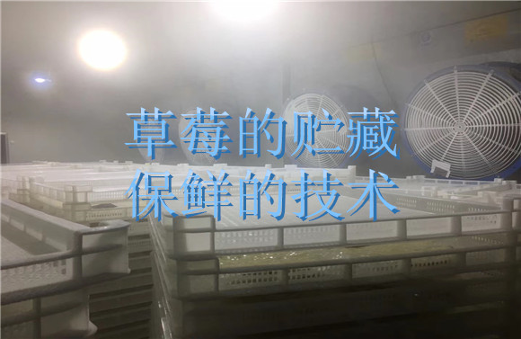 草莓的貯藏保鮮的技術(shù).jpg