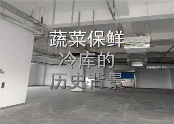 蔬菜保鮮冷庫的歷史背景.jpg