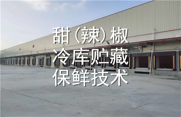 甜(辣)椒冷庫(kù)貯藏保鮮技術(shù).jpg