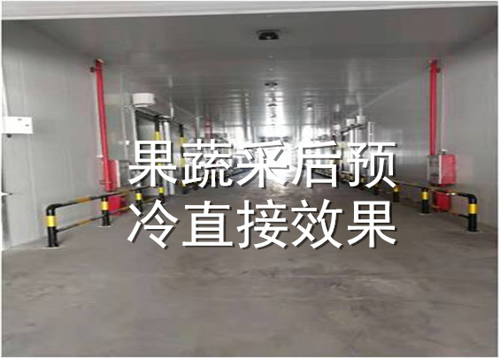 果蔬采后預(yù)冷直接效果.jpg