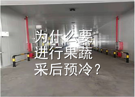 為什么要進(jìn)行果蔬采后預(yù)冷？.jpg