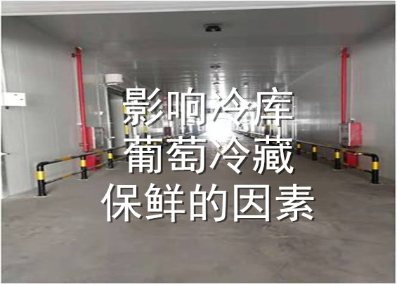 影響冷庫葡萄冷藏保鮮的因素.jpg