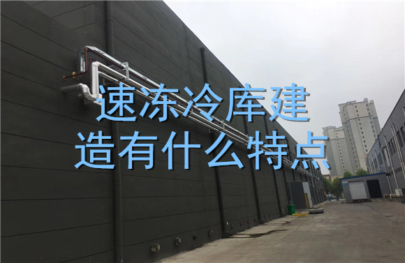 速凍冷庫(kù)建造有什么特點(diǎn).jpg