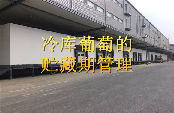 冷庫(kù)葡萄的貯藏期管理 .jpg