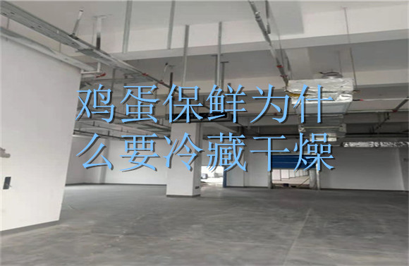 雞蛋保鮮為什么要冷藏干燥.jpg
