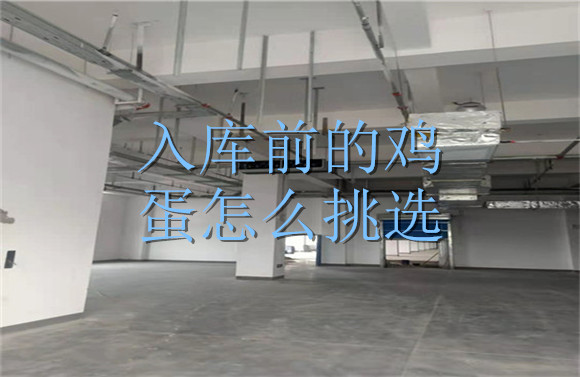 入庫(kù)前的雞蛋怎么挑選.jpg