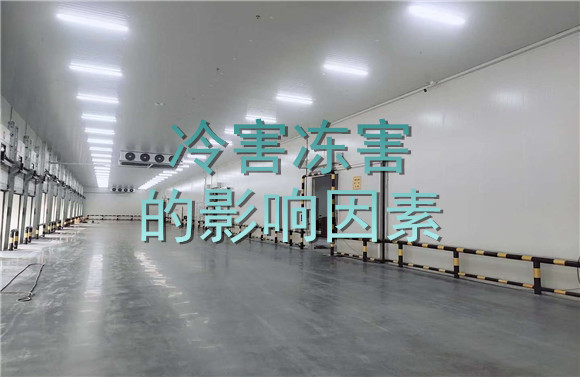 冷害凍害的影響因素.jpg