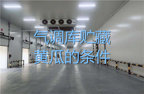氣調(diào)庫貯藏黃瓜的條件.jpg