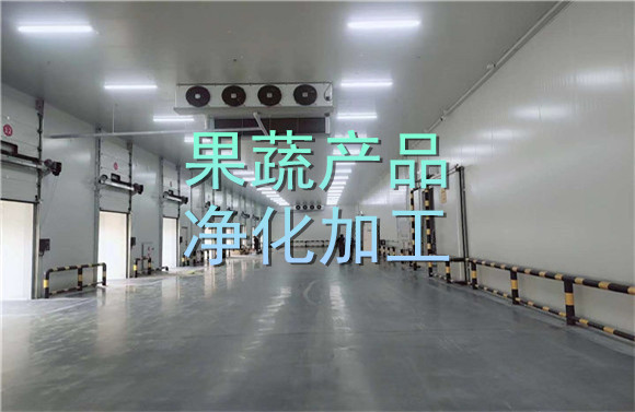果蔬產品凈化加工.jpg