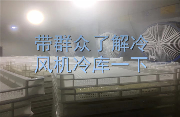帶群眾了解冷風(fēng)機(jī)冷庫一下.jpg