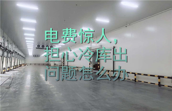 電費(fèi)驚人，擔(dān)心冷庫出問題怎么辦.jpg