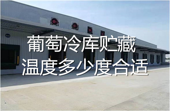 葡萄冷庫貯藏溫度多少度合適.jpg