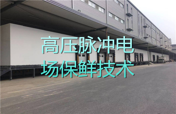 高壓脈沖電場保鮮技術(shù).jpg
