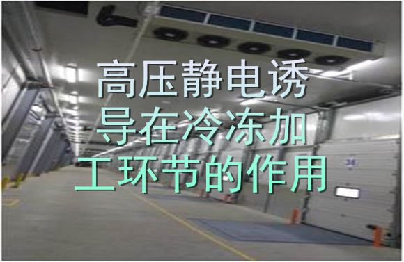 高壓靜電誘導(dǎo)在冷凍加工環(huán)節(jié)的作用.jpg