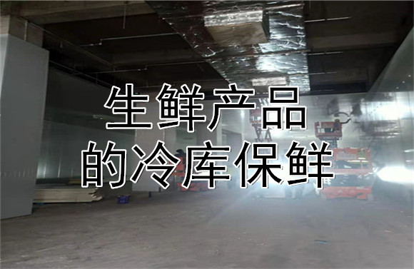 生鮮產品的冷庫保鮮.jpg