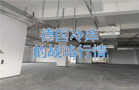 德國(guó)冷庫的戰(zhàn)略行情.jpg