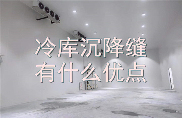 冷庫(kù)沉降縫有什么優(yōu)點(diǎn).jpg