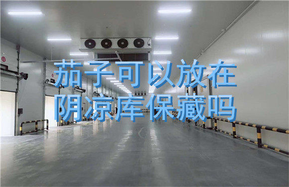 茄子可以放在陰涼庫(kù)保藏嗎.jpg
