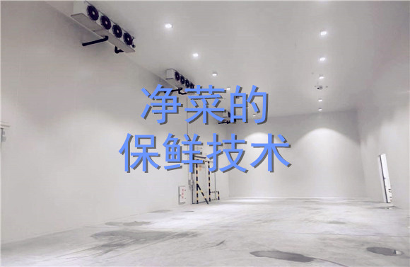 凈菜的保鮮技術(shù).jpg