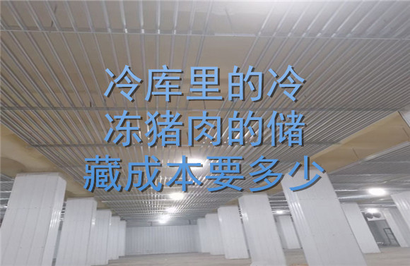 冷庫里的冷凍豬肉的儲藏成本要多少.jpg