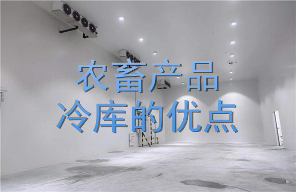 農(nóng)畜產(chǎn)品冷庫的優(yōu)點.jpg