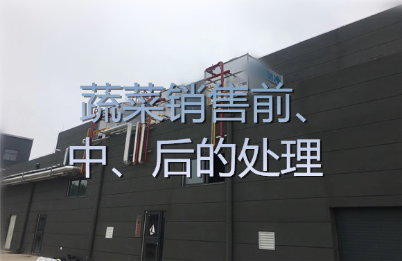 蔬菜銷售前、中、后的處理.jpg