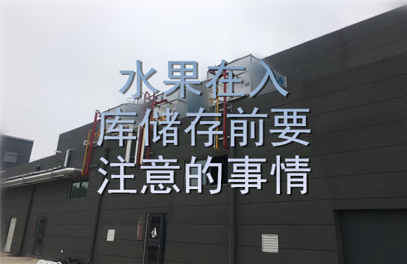 水果在入庫儲存前要注意的事情.jpg