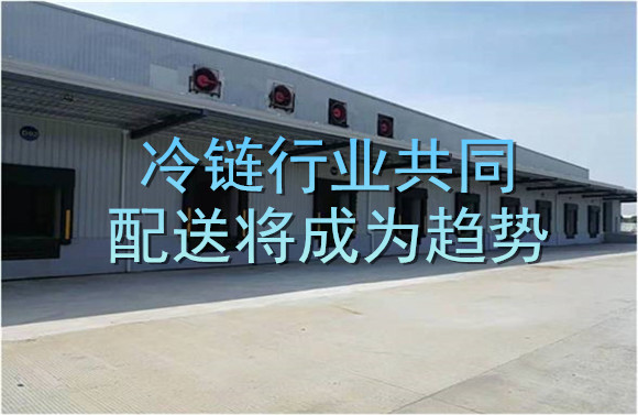 冷鏈行業(yè)共同配送將成為趨勢.jpg