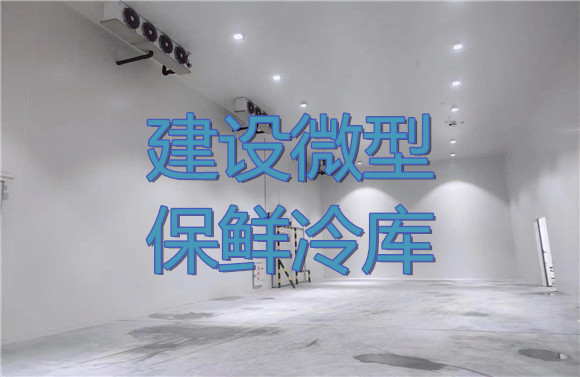 建設(shè)微型保鮮冷庫(kù).jpg
