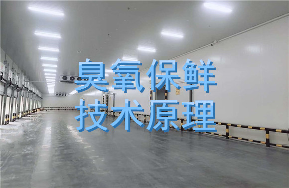 臭氧保鮮技術(shù)原理.jpg